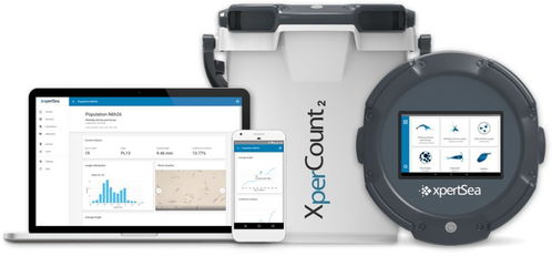 物聯互聯，智能養殖 網絡技術如何重塑現代水產養殖業